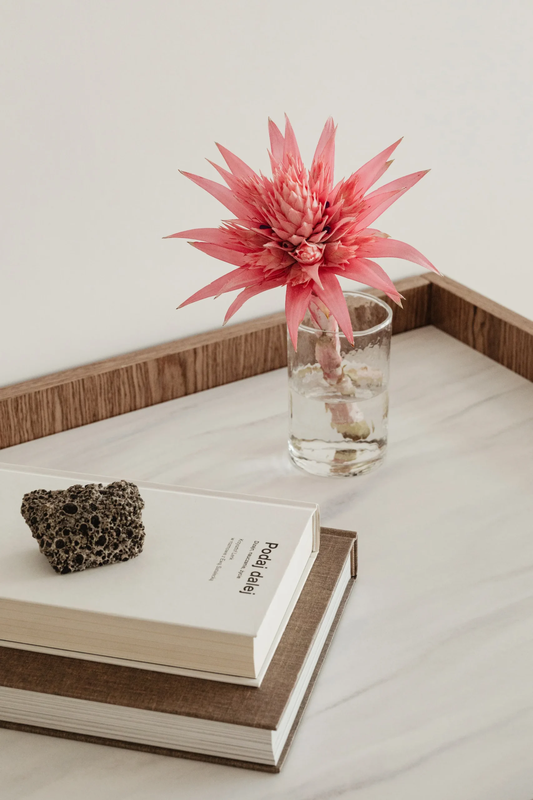 School Events & Dances